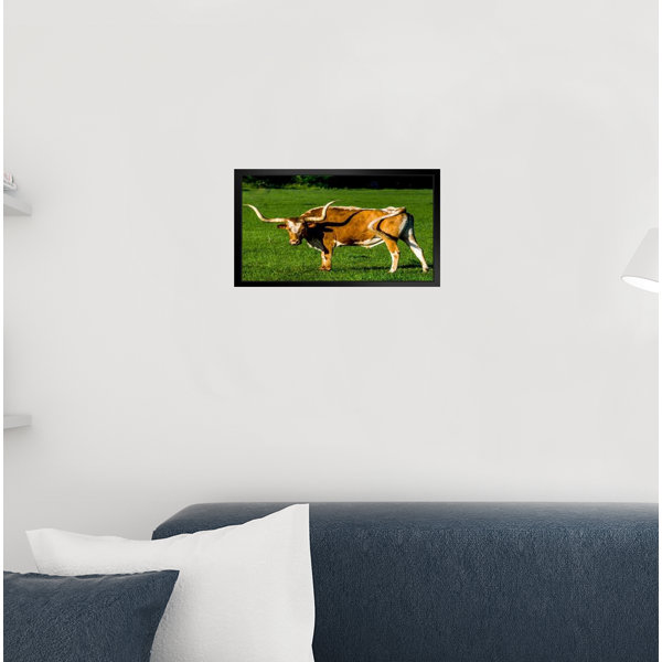 Trinx Longhorn Steer In An Open Field Photograph Bull Pictures Wall